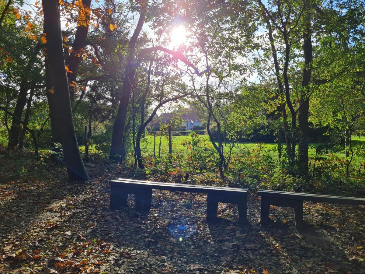 Parkhoeve Glamping Ham Ngoại thất bức ảnh